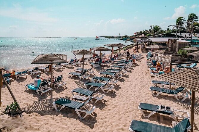 Bonaire 2 hour Island Tour & 2 hour Beach Stay - The Itinerary: What You’ll See and Do