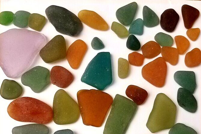 Bonaire Beachcombing and Sea Glass Private Tour - Key Points