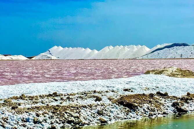 Bonaire City Tour Chubatu - What to Expect From the Tour Experience