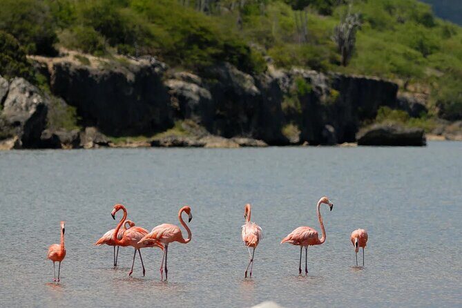 Bonaire Island North Side DiscoveryTour - Key Points
