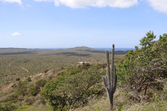 Bonaire Island North Side DiscoveryTour - Who Should Consider This Tour?