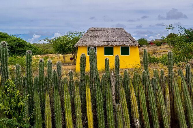 Bonaire Island North Side DiscoveryTour - FAQs