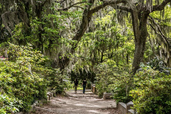 Bonaventure Cemetery & Wormsloe State Historic Site Tour - A Closer Look at the Tour Experience