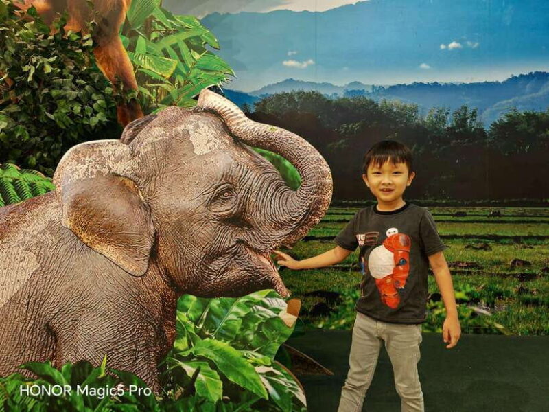 Bongawan River Cruise: Proboscis Monkey & Fireflies Mangrove - FAQ