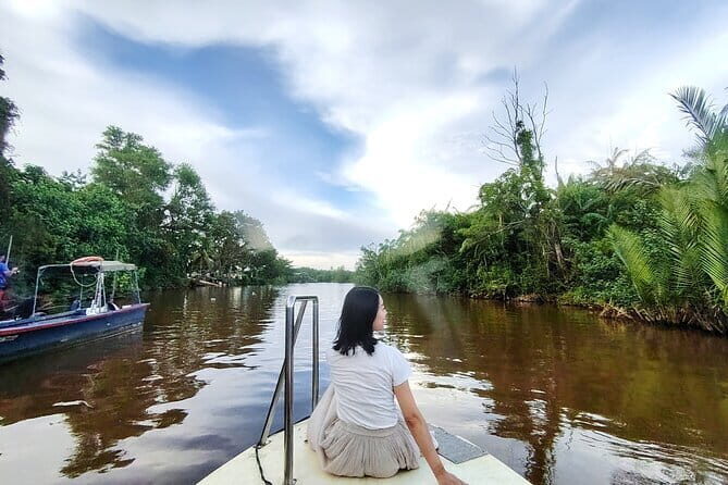 Bongawan River Cruise Proboscis Monkey, SkyMirror, Fireflies - The Practicalities: What to Expect