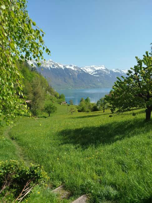 Bönigen: Lakeside Trail and Giessbach Waterfalls Hike - What Makes This Tour Stand Out