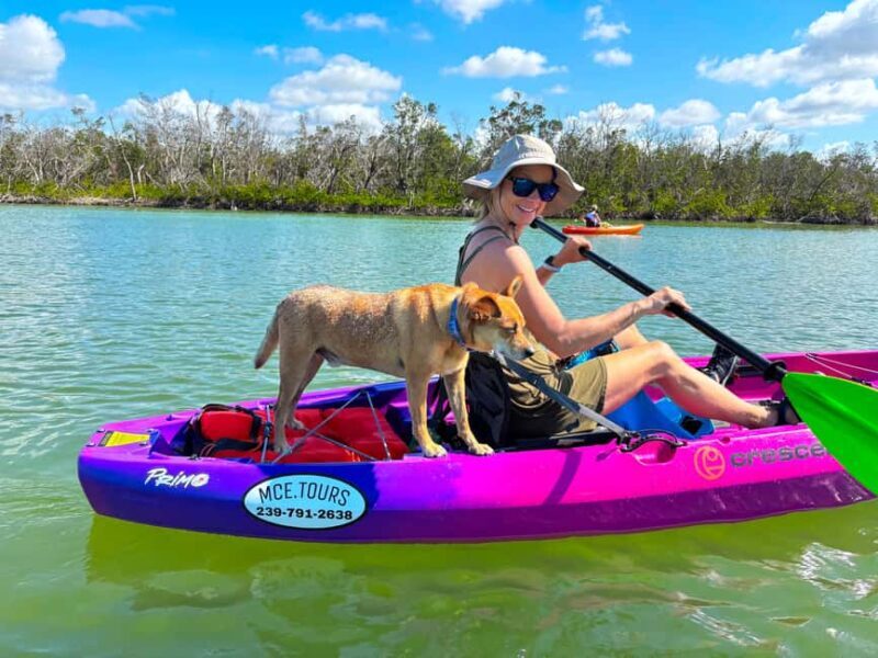 Bonita Springs Clear Kayak Tour with Dolphins & Manatees - The Value of This Experience