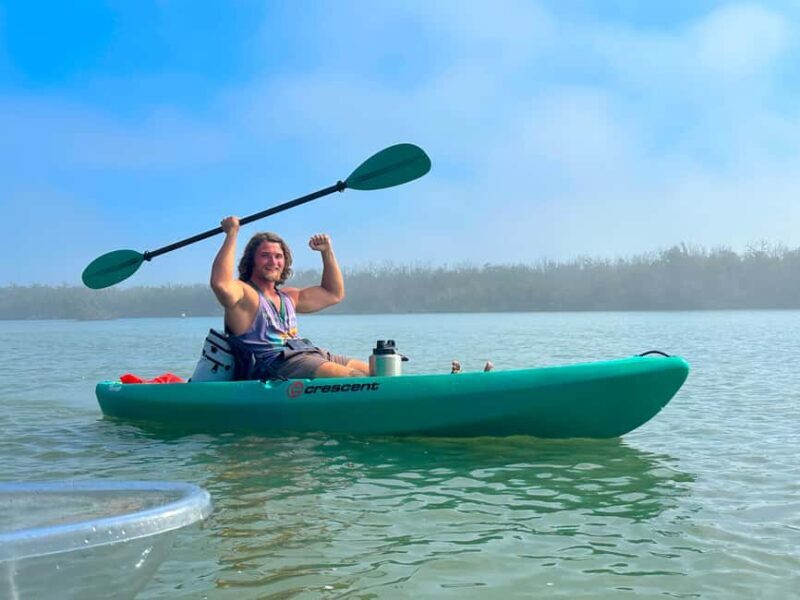 Bonita Springs Clear Kayak Tour with Dolphins & Manatees - Who Should Consider This Tour?