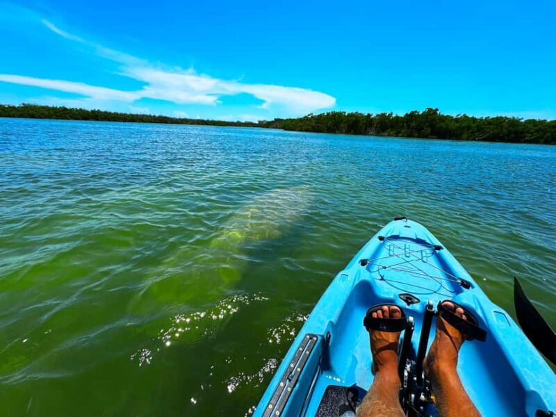 Bonita Springs: Kayak Tour with Manatees, Dolphins Sightings - Exploring Bonita Springs: An Authentic Waterway Adventure