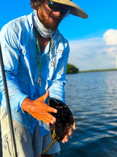 Bonita Springs: Kayak Tour with Manatees, Dolphins Sightings - Final Thoughts on the Bonita Springs Kayak Experience