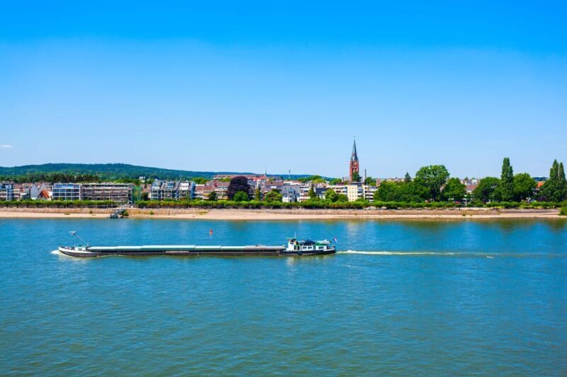 Bonn: Express Walk with a Local - Who Is This Tour Best For?