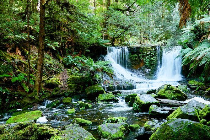Bonorong Wildlife Park and Richmond Afternoon Tour from Hobart - FAQ
