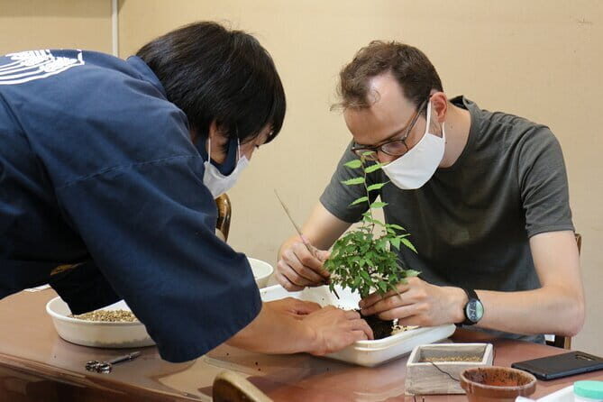 Bonsai Culture Experience for Novices in Tokyo - Key Points