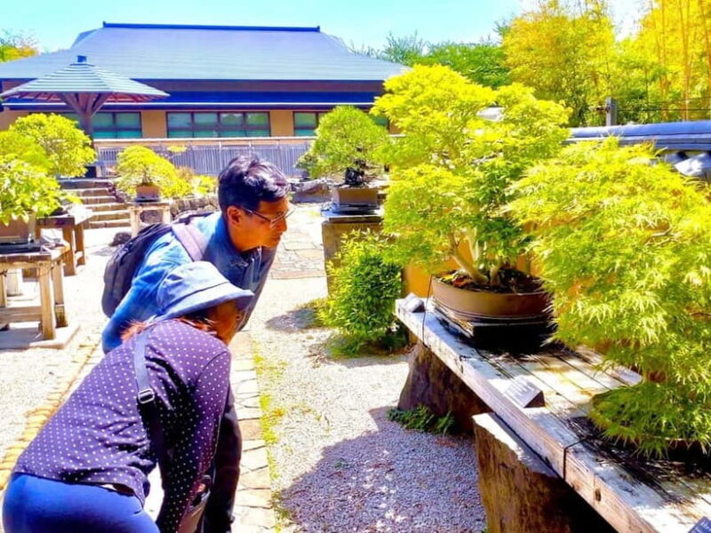 Bonsai Tour & Experience at the Most Sacred Bonsai's City - Who Should Consider This Tour?