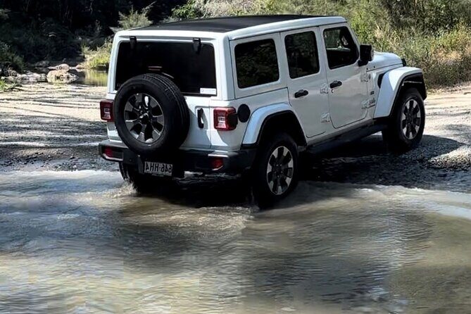 Booloumba Falls & Booloumba Creek Adventure, Conondale Nat. Park - An off-road journey tailored to you
