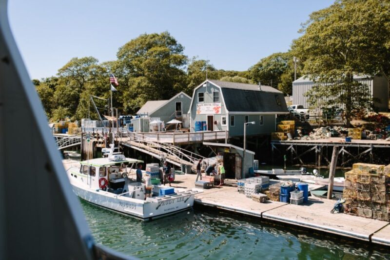 Boothbay Harbor: Pemaquid Point & John's Bay Cruise - Who Will Appreciate This Tour?