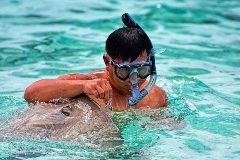 Bora Bora: 4x4 Safari with Snorkelling Combo Tour - Key Points