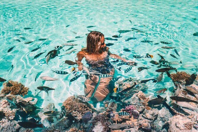Bora Bora adventure Private Combo Jet Ski and Eco Sharks Snorkel - Exploring Bora Bora’s Lagoon on a Private Jet Ski