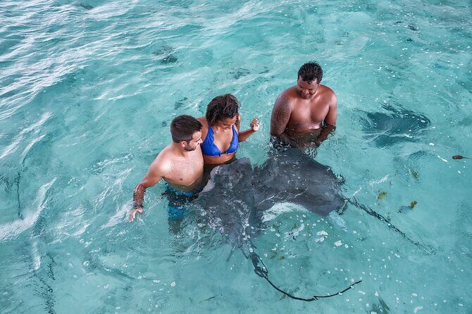 Bora Bora adventure Private Combo Jet Ski and Eco Sharks Snorkel - Snorkeling with Sharks, Rays, and Colorful Fish