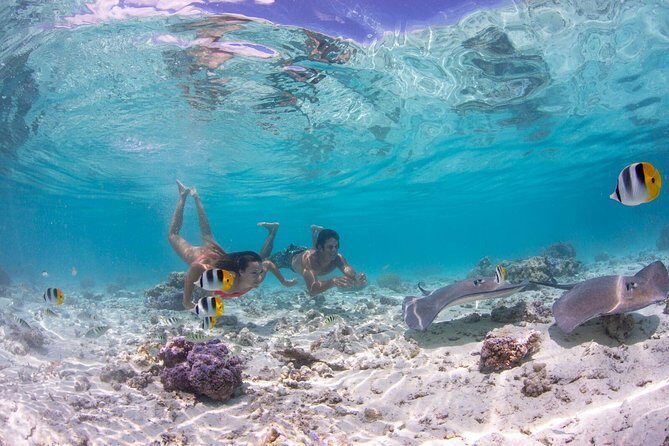 Bora Bora Eco Snorkel Cruise Including Snorkeling with Sharks and Stingrays - Exploring Bora Bora’s Underwater World—A Deep Dive