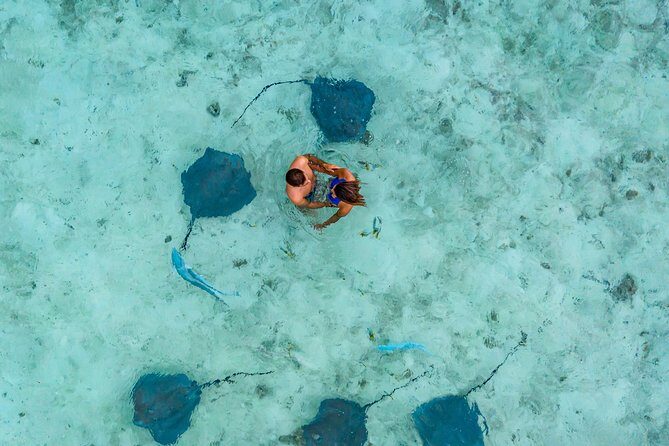Bora Bora Eco Snorkel Cruise Including Snorkeling with Sharks and Stingrays - FAQs