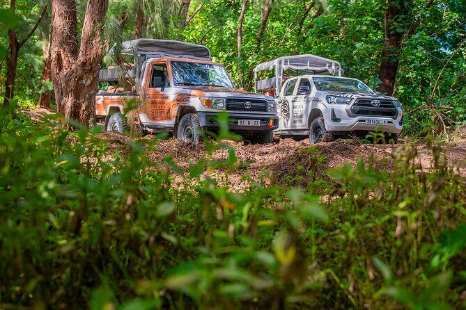 Bora Bora Half Day 4X4 Island Safari Tours - A Deep Dive into the Bora Bora 4X4 Safari Experience