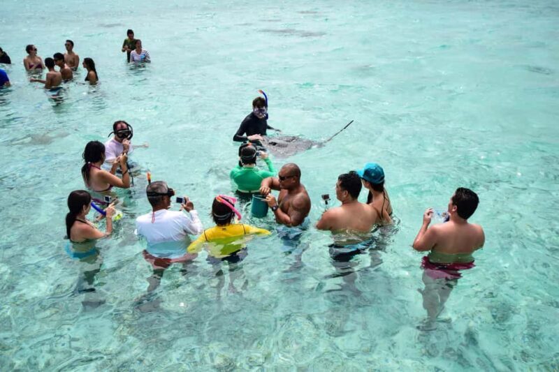 Bora Bora: Half-Day Lagoon Snorkelling Tour - Who Should Consider This Tour?