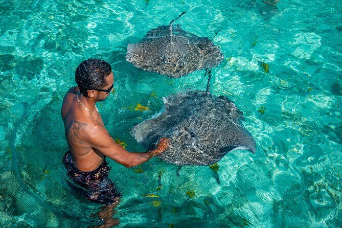 Bora Bora Half Day Manu Lagoon Excursion - A Closer Look at the Bora Bora Manu Lagoon Excursion