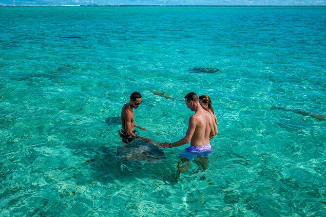 Bora Bora Half Day Manu Lagoon Excursion - FAQ – Your Practical Questions Answered
