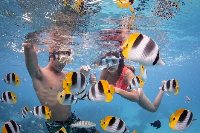 Bora Bora Jet Ski Tour, & Eco Shark / Ray Snorkel Cruise - Key Points