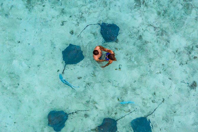 Bora Bora Jet Ski Tour, & Eco Shark / Ray Snorkel Cruise - Who Will Enjoy This Tour?
