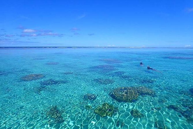 Bora Bora: Luxury Private Half Day Snorkeling Tour - Why Choose This Tour?
