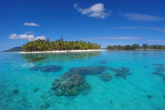 Bora Bora Private Lagoon Tours - An Intimate, Customizable Voyage