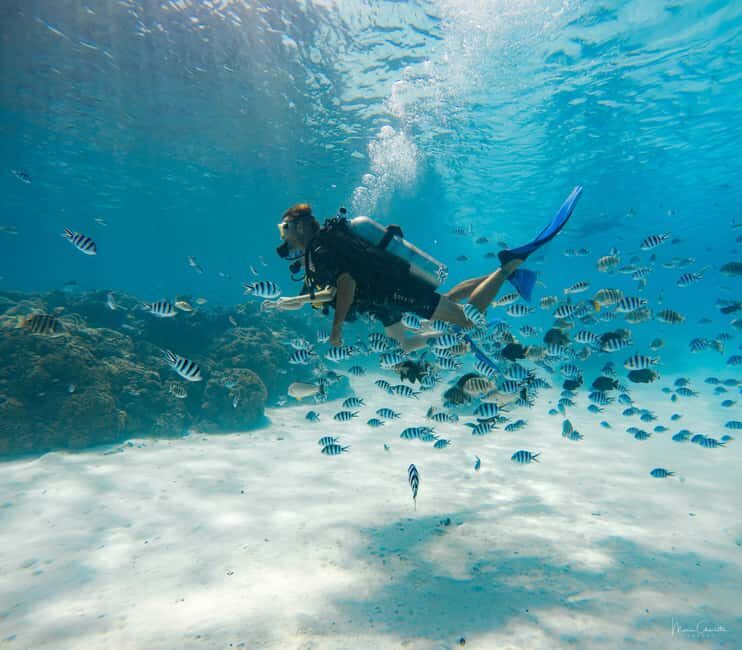 Bora Bora: Romantic Dive for Two People (Beginners) - Key Points