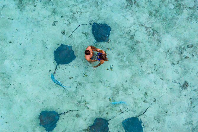 Bora Bora Snorkel Cruise by Polynesian Outrigger Canoe with BBQ Island Lunch - A Closer Look at the Bora Bora Snorkel Cruise Experience