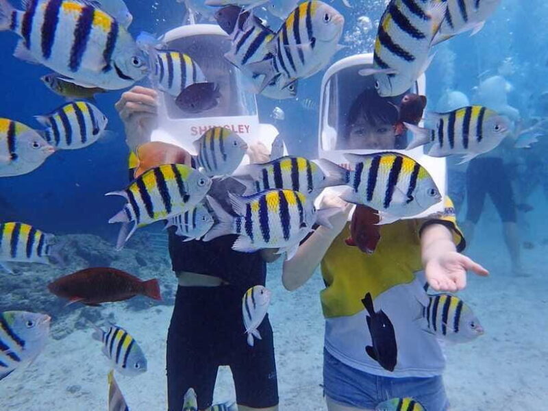 Boracay: Aquanaut Adventure with Photos and Videos - Final Thoughts