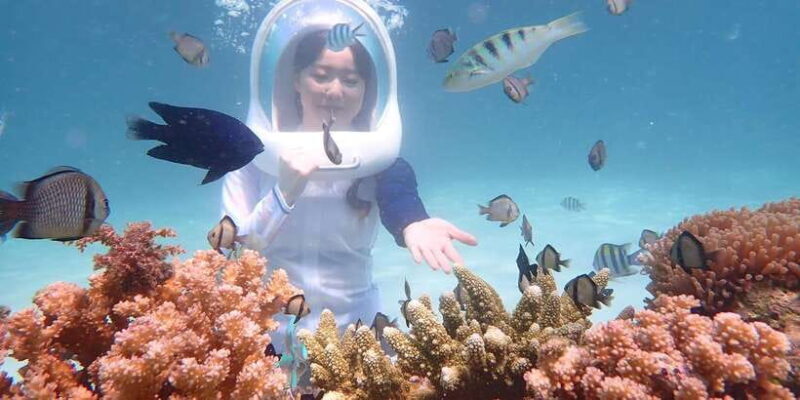 Boracay: Helmet Diving Experience with Photos and Videos - Final Thoughts: Who Should Consider This Activity?