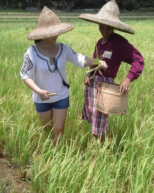 Boracay: Motag Living Museum Guided Tour - Key Points