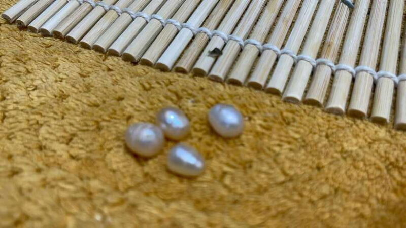 Boracay: Private Land Tour with Pick a Pearl Experience - Key Points