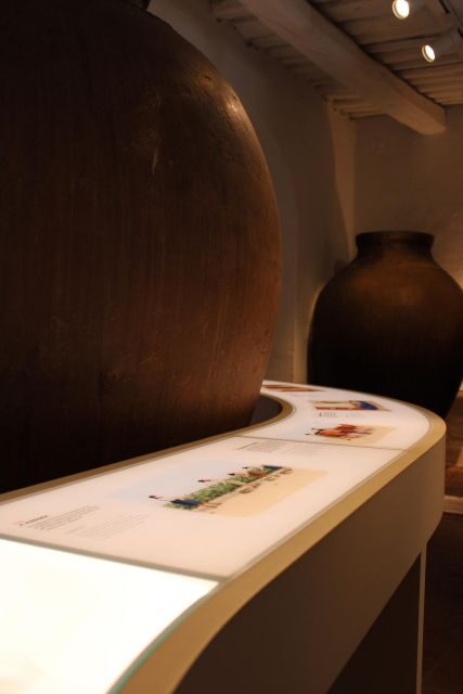 Borba: Winery and Amphora Wine Tour and Tasting - The Experience in Detail