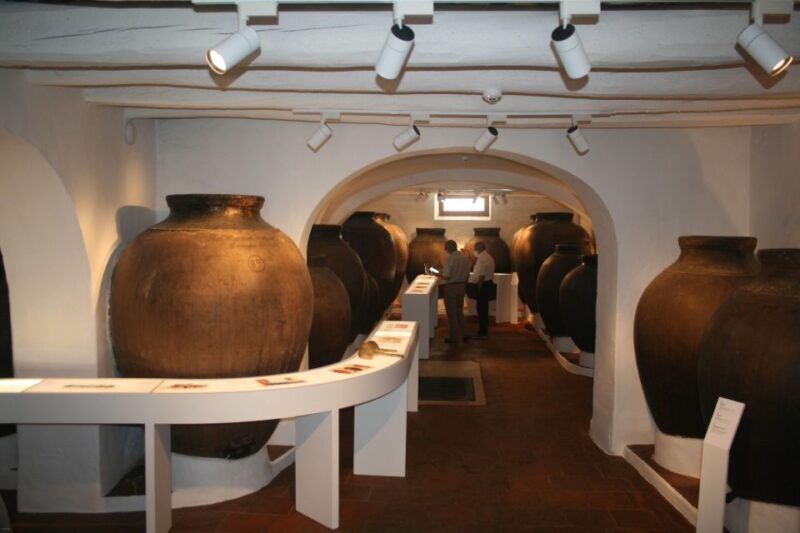 Borba: Winery Tour with Wine and Alentejo Products Tasting - Key Points