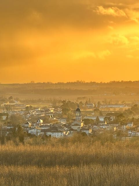 Bordeaux Backcountry E-Bike Tour with Lunch & Wine Tasting - The Sum Up