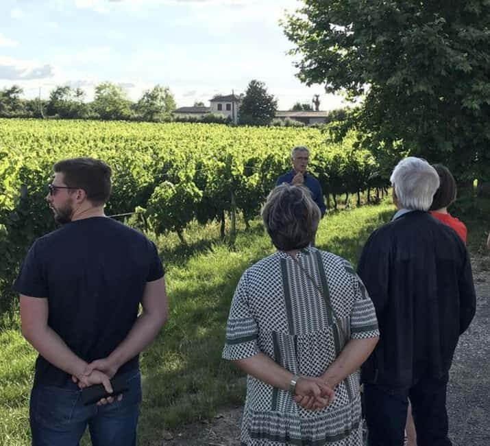 Bordeaux: Explore an Organic Family Vineyard with Tasting - Who Should Consider This Tour?