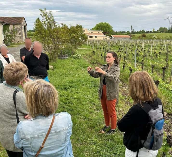 Bordeaux: Explore an Organic Family Vineyard with Tasting - Value and Practical Tips