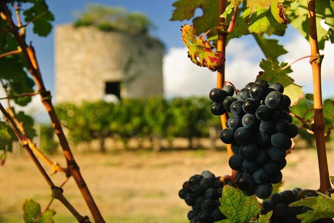 Bordeaux Full day Medoc and St Emilion Wine Tour with Lunch - Bordeaux Full Day Medoc and Saint-Emilion Wine Tour with Lunch: An Authentic Wine Lover’s Experience