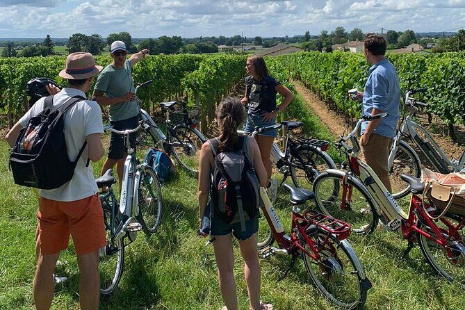 Bordeaux Full Day Wine and Bike Tour - Practicalities and Considerations