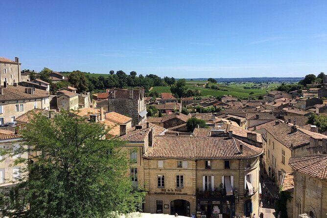 Bordeaux Full Day Wine and Bike Tour - Who Will Love This Tour?