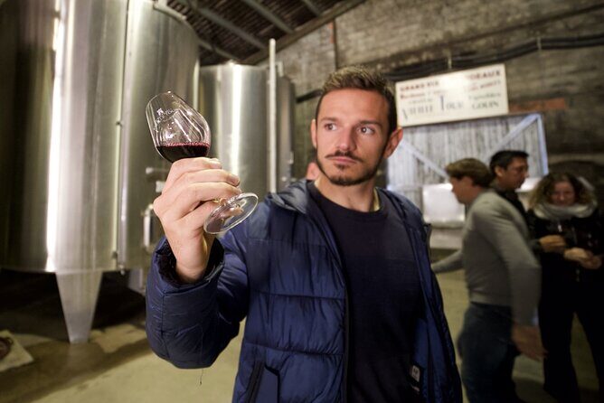 Bordeaux : Full Day Wine Tastings & Gourmet Lunch - A Deep Dive into the Bordeaux Full-Day Wine Tour