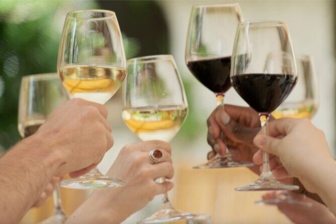 Bordeaux : Full Day Wine Tastings & Gourmet Lunch - Final Thoughts