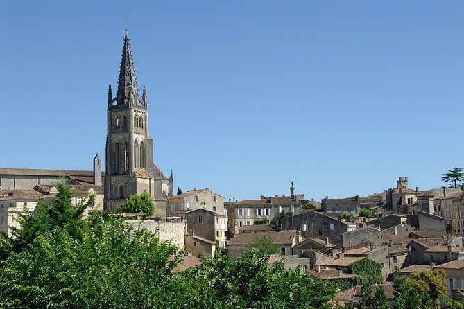 Bordeaux Full Day Wine Tour - 3 Wineries & Gourmet Picnic Lunch - Final Thoughts: Who Should Book This Tour?